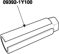 G11675694