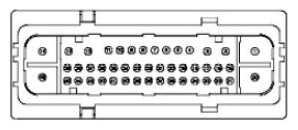 G11680164
