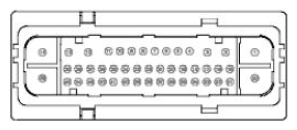 G11680184