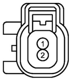 G11680232