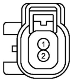 G11680234