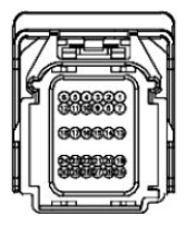 G11680244