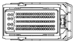 G11681596