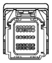 G11681607