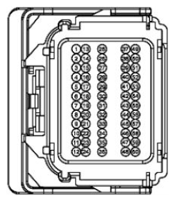G11681608