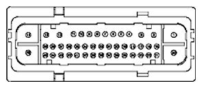 G11681648
