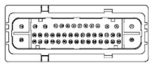G11681784
