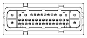 G11681803