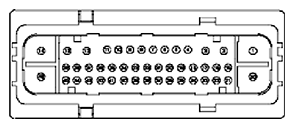 G11681877