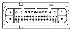 G11681986