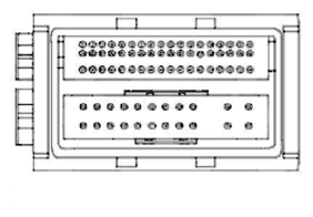 G11682021