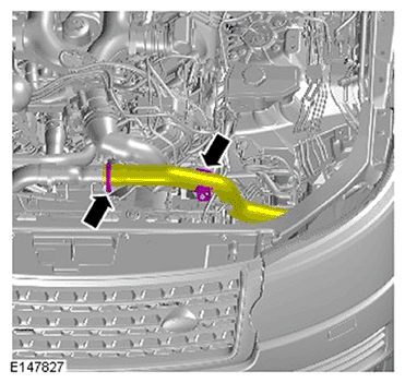 G11693967