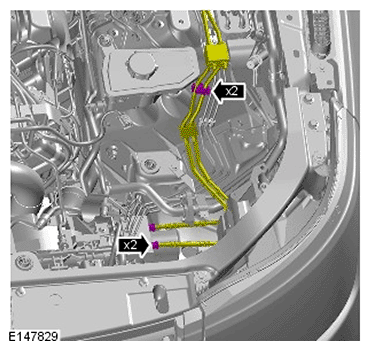 G11693969