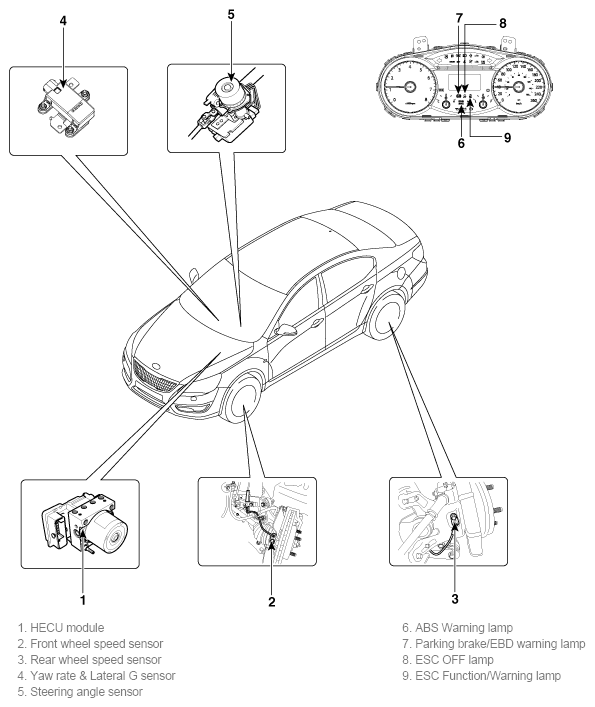 G11784940