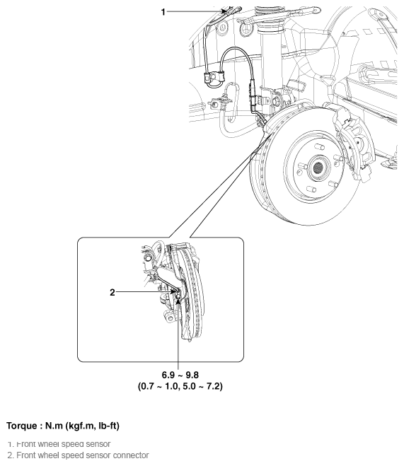 G11784975