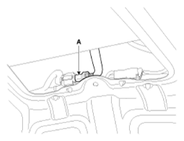 G11792636