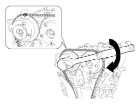G11793160
