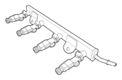G11794019