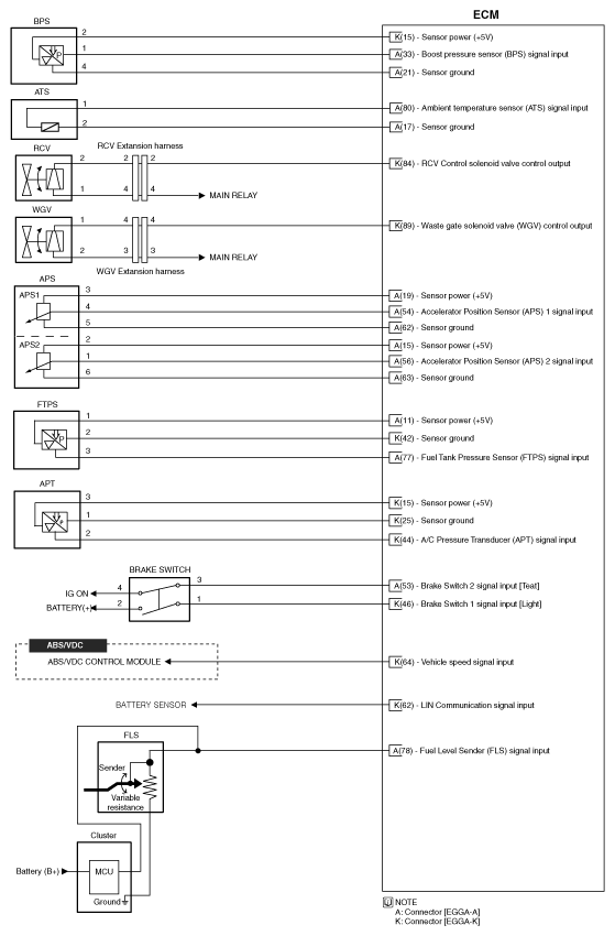 G11794837