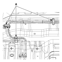 G11795005
