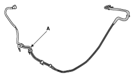 G11795008