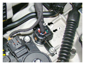 G11795251
