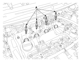 G11796773