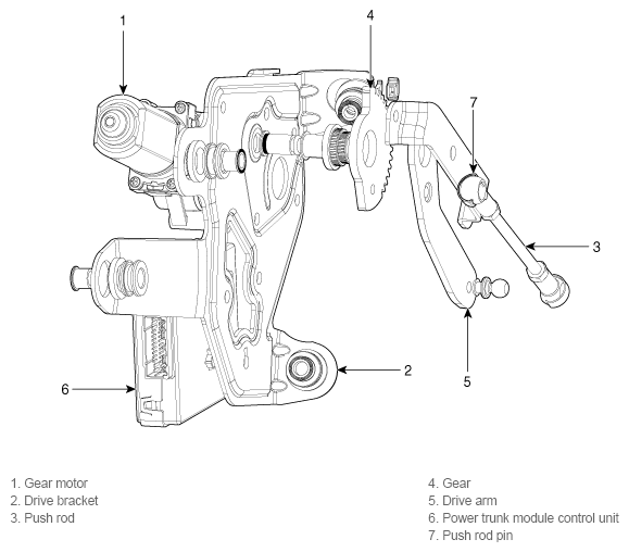 G11803843