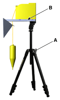 G11823176