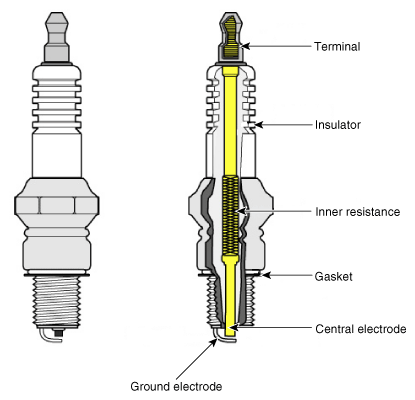 G11844915