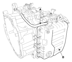 G11845529
