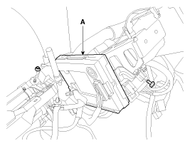 G11849538