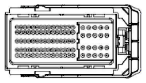 G11915484