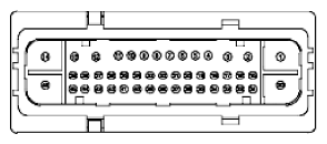 G11915508