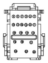 G11915524