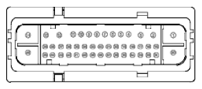 G11915529