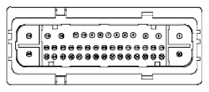 G11915555