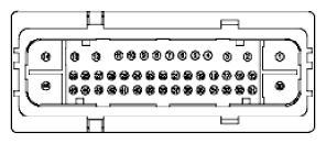 G11915557