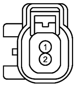 G11915571
