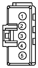 G11915596