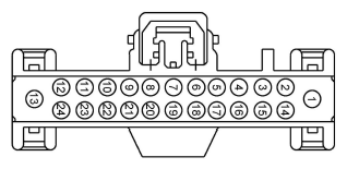 G11915607