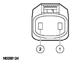 G11915691