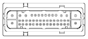 G11915955