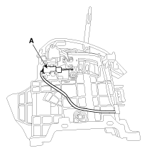 G11941481