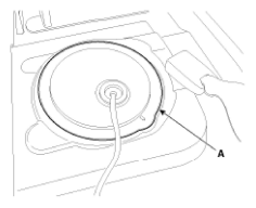 G11951907