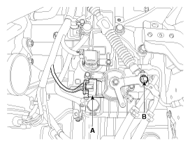G11952591
