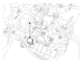 G11953398
