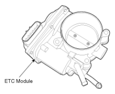 G11955485
