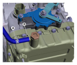 G12019082