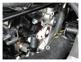 G12055474